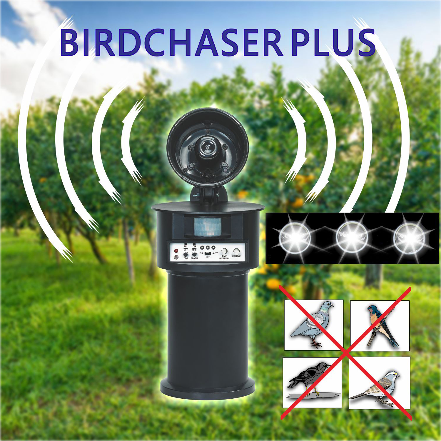 super birdchaser plus (b/o) super birdchaser plus (b/o)