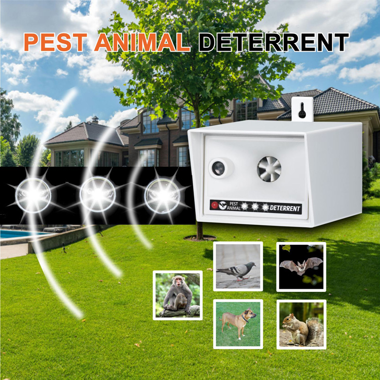 pest & animal deterrent pest & animal deterrent