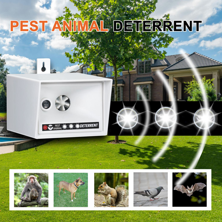 pest & animal deterrent pest & animal deterrent