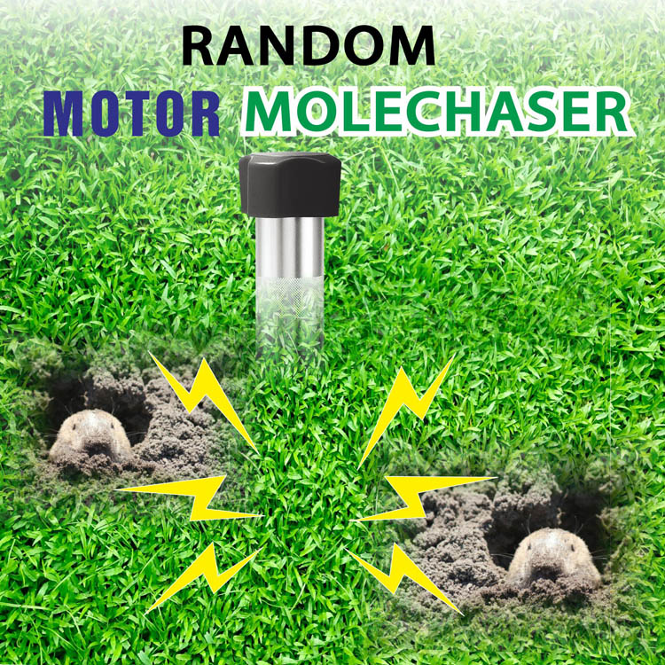 motor random molechaser motor random molechaser